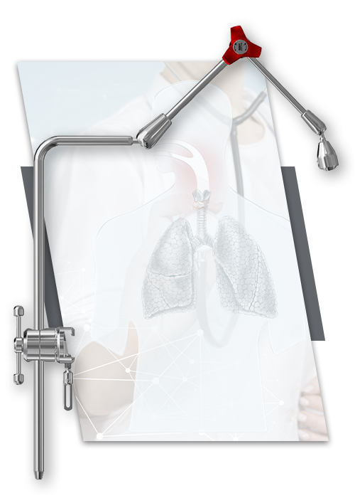 throat and lung xray